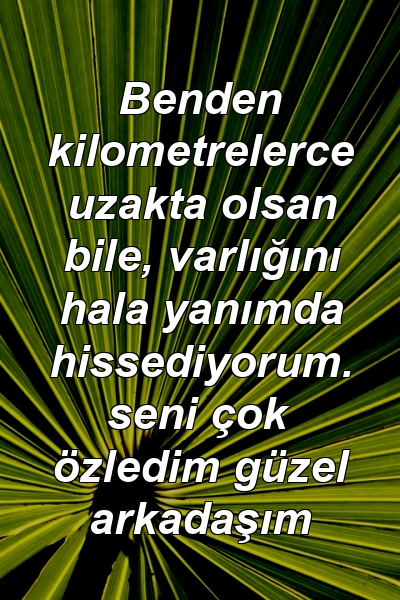 Benden kilometrelerce uzakta olsan bile, varlığını hala yanımda hissediyorum. seni çok özledim güzel arkadaşım