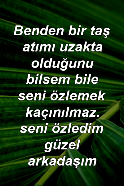 Benden bir taş atımı uzakta olduğunu bilsem bile seni özlemek kaçınılmaz. seni özledim güzel arkadaşım