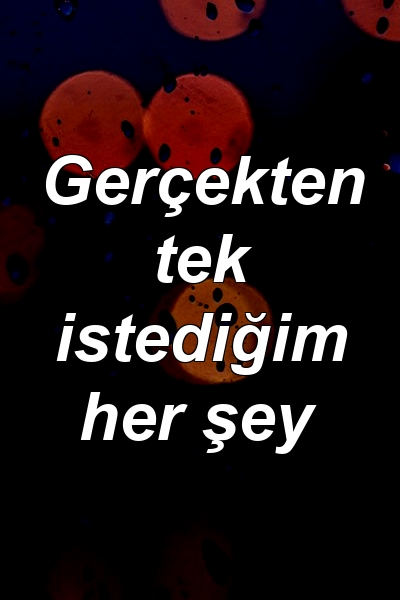 Gerçekten tek istediğim her şey