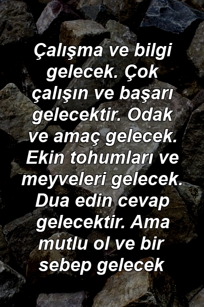 Çalışma ve bilgi gelecek. Çok çalışın ve başarı gelecektir. Odak ve amaç gelecek. Ekin tohumları ve meyveleri gelecek. Dua edin cevap gelecektir. Ama mutlu ol ve bir sebep gelecek