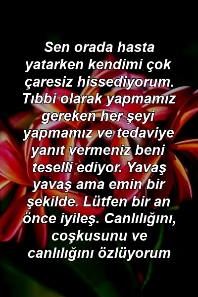 Sen orada hasta yatarken kendimi çok çaresiz hissediyorum. Tıbbi olarak yapmamız gereken her şeyi yapmamız ve tedaviye yanıt vermeniz beni teselli ediyor. Yavaş yavaş ama emin bir şekilde. Lütfen bir an önce iyileş. Canlılığını, coşkusunu ve canlılığını özlüyorum