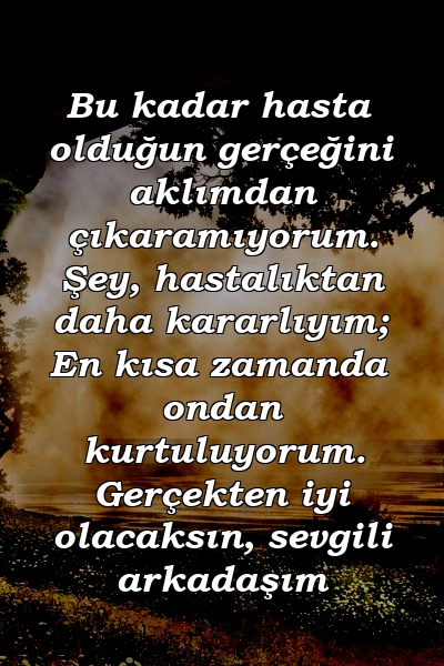 Bu kadar hasta olduğun gerçeğini aklımdan çıkaramıyorum. Şey, hastalıktan daha kararlıyım; En kısa zamanda ondan kurtuluyorum. Gerçekten iyi olacaksın, sevgili arkadaşım