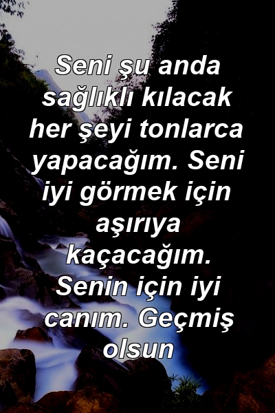 Seni şu anda sağlıklı kılacak her şeyi tonlarca yapacağım. Seni iyi görmek için aşırıya kaçacağım. Senin için iyi canım. Geçmiş olsun