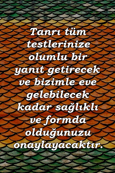 Tanrı tüm testlerinize olumlu bir yanıt getirecek ve bizimle eve gelebilecek kadar sağlıklı ve formda olduğunuzu onaylayacaktır.