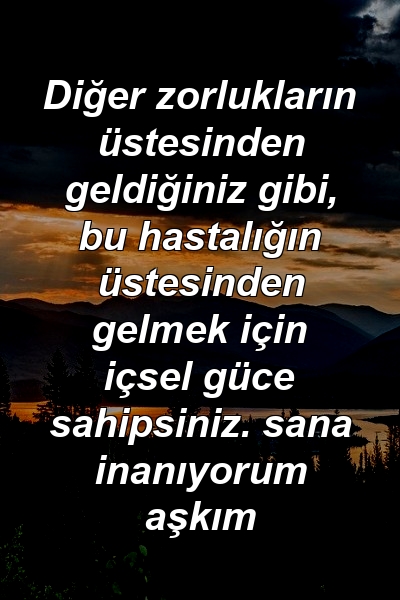 Diğer zorlukların üstesinden geldiğiniz gibi, bu hastalığın üstesinden gelmek için içsel güce sahipsiniz. sana inanıyorum aşkım