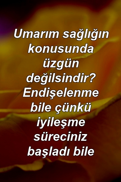 Umarım sağlığın konusunda üzgün değilsindir? Endişelenme bile çünkü iyileşme süreciniz başladı bile