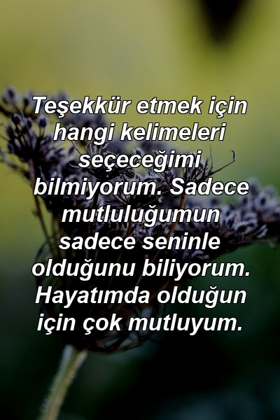 Teşekkür etmek için hangi kelimeleri seçeceğimi bilmiyorum. Sadece mutluluğumun sadece seninle olduğunu biliyorum. Hayatımda olduğun için çok mutluyum.