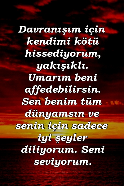 Davranışım için kendimi kötü hissediyorum, yakışıklı. Umarım beni affedebilirsin. Sen benim tüm dünyamsın ve senin için sadece iyi şeyler diliyorum. Seni seviyorum.