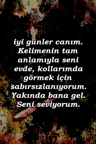 iyi günler canım. Kelimenin tam anlamıyla seni evde, kollarımda görmek için sabırsızlanıyorum. Yakında bana gel. Seni seviyorum.