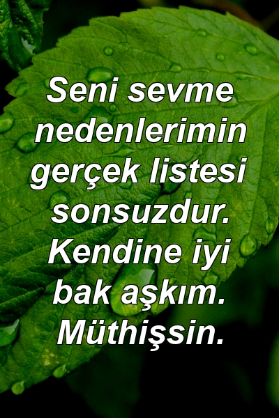 Seni sevme nedenlerimin gerçek listesi sonsuzdur. Kendine iyi bak aşkım. Müthişsin.