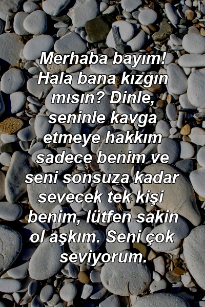 Merhaba bayım! Hala bana kızgın mısın? Dinle, seninle kavga etmeye hakkım sadece benim ve seni sonsuza kadar sevecek tek kişi benim, lütfen sakin ol aşkım. Seni çok seviyorum.