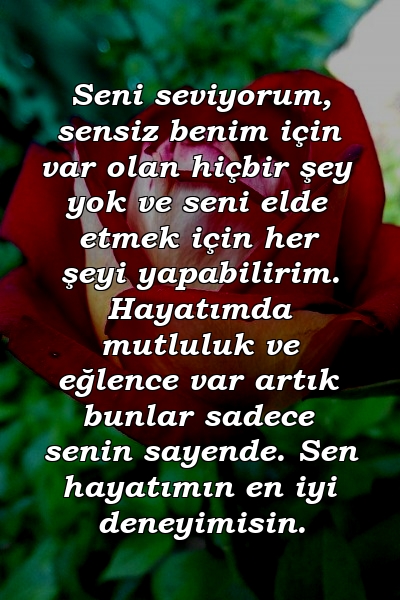 Seni seviyorum, sensiz benim için var olan hiçbir şey yok ve seni elde etmek için her şeyi yapabilirim. Hayatımda mutluluk ve eğlence var artık bunlar sadece senin sayende. Sen hayatımın en iyi deneyimisin.