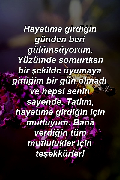 Hayatıma girdiğin günden beri gülümsüyorum. Yüzümde somurtkan bir şekilde uyumaya gittiğim bir gün olmadı ve hepsi senin sayende. Tatlım, hayatıma girdiğin için mutluyum. Bana verdiğin tüm mutluluklar için teşekkürler!