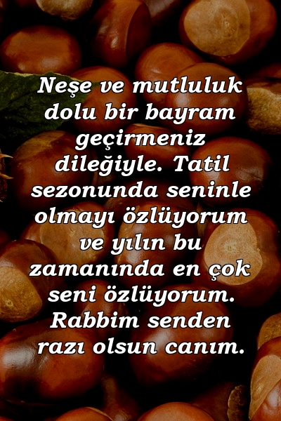 Neşe ve mutluluk dolu bir bayram geçirmeniz dileğiyle. Tatil sezonunda seninle olmayı özlüyorum ve yılın bu zamanında en çok seni özlüyorum. Rabbim senden razı olsun canım.