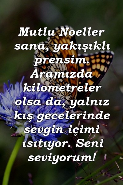 Mutlu Noeller sana, yakışıklı prensim. Aramızda kilometreler olsa da, yalnız kış gecelerinde sevgin içimi ısıtıyor. Seni seviyorum!