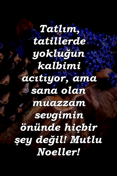 Tatlım, tatillerde yokluğun kalbimi acıtıyor, ama sana olan muazzam sevgimin önünde hiçbir şey değil! Mutlu Noeller!