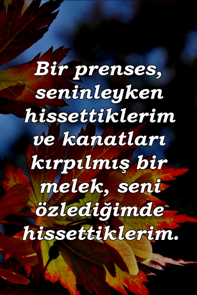 Bir prenses, seninleyken hissettiklerim ve kanatları kırpılmış bir melek, seni özlediğimde hissettiklerim.