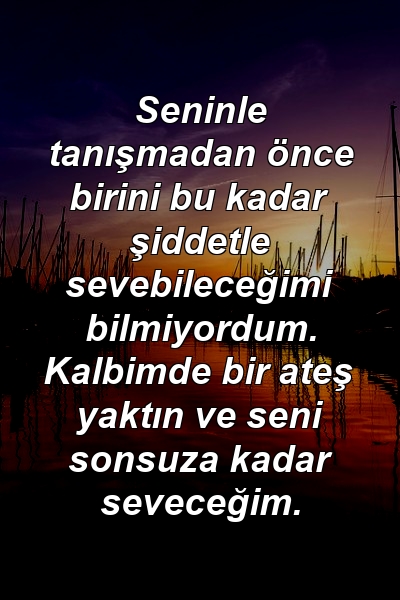 Seninle tanışmadan önce birini bu kadar şiddetle sevebileceğimi bilmiyordum. Kalbimde bir ateş yaktın ve seni sonsuza kadar seveceğim.