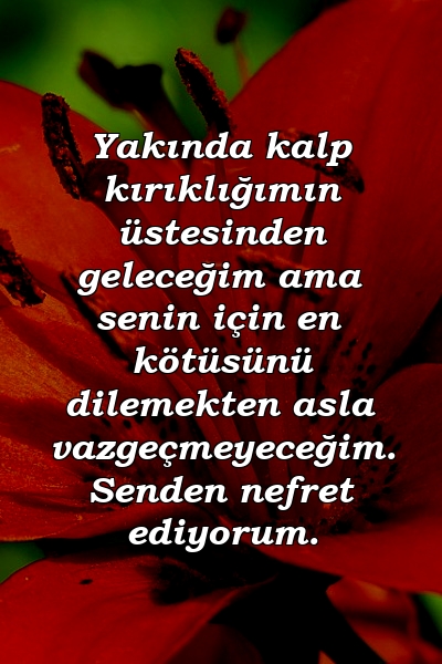 Yakında kalp kırıklığımın üstesinden geleceğim ama senin için en kötüsünü dilemekten asla vazgeçmeyeceğim. Senden nefret ediyorum.