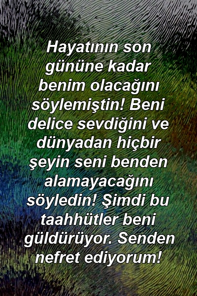 Hayatının son gününe kadar benim olacağını söylemiştin! Beni delice sevdiğini ve dünyadan hiçbir şeyin seni benden alamayacağını söyledin! Şimdi bu taahhütler beni güldürüyor. Senden nefret ediyorum!