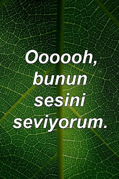 Oooooh, bunun sesini seviyorum.