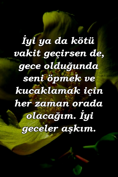 İyi ya da kötü vakit geçirsen de, gece olduğunda seni öpmek ve kucaklamak için her zaman orada olacağım. İyi geceler aşkım.