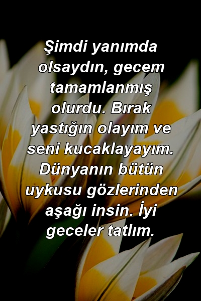 Şimdi yanımda olsaydın, gecem tamamlanmış olurdu. Bırak yastığın olayım ve seni kucaklayayım. Dünyanın bütün uykusu gözlerinden aşağı insin. İyi geceler tatlım.