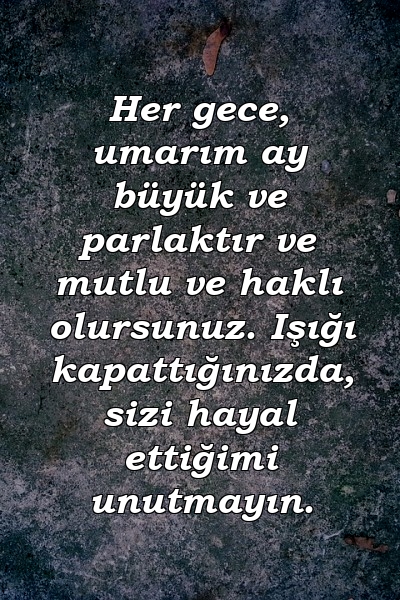 Her gece, umarım ay büyük ve parlaktır ve mutlu ve haklı olursunuz. Işığı kapattığınızda, sizi hayal ettiğimi unutmayın.