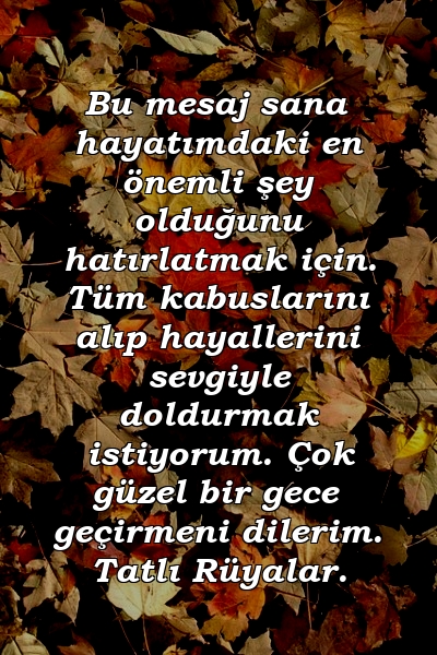 Bu mesaj sana hayatımdaki en önemli şey olduğunu hatırlatmak için. Tüm kabuslarını alıp hayallerini sevgiyle doldurmak istiyorum. Çok güzel bir gece geçirmeni dilerim. Tatlı Rüyalar.