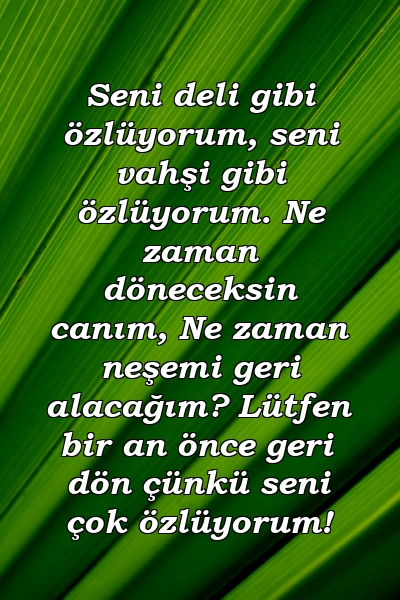 Seni deli gibi özlüyorum, seni vahşi gibi özlüyorum. Ne zaman döneceksin canım, Ne zaman neşemi geri alacağım? Lütfen bir an önce geri dön çünkü seni çok özlüyorum!