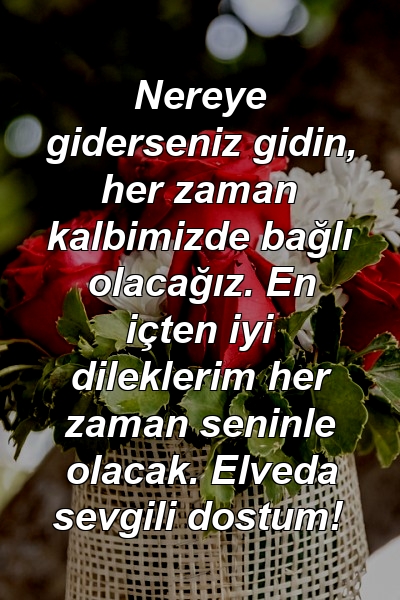 Nereye giderseniz gidin, her zaman kalbimizde bağlı olacağız. En içten iyi dileklerim her zaman seninle olacak. Elveda sevgili dostum!