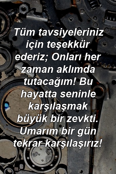 Tüm tavsiyeleriniz için teşekkür ederiz; Onları her zaman aklımda tutacağım! Bu hayatta seninle karşılaşmak büyük bir zevkti. Umarım bir gün tekrar karşılaşırız!