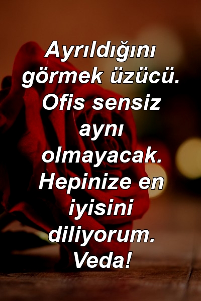 Ayrıldığını görmek üzücü. Ofis sensiz aynı olmayacak. Hepinize en iyisini diliyorum. Veda!