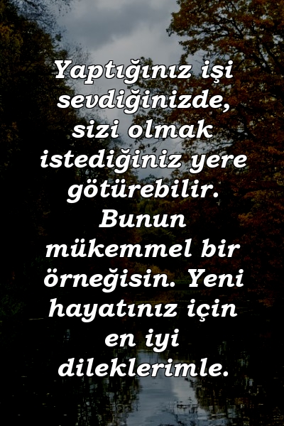 Yaptığınız işi sevdiğinizde, sizi olmak istediğiniz yere götürebilir. Bunun mükemmel bir örneğisin. Yeni hayatınız için en iyi dileklerimle.