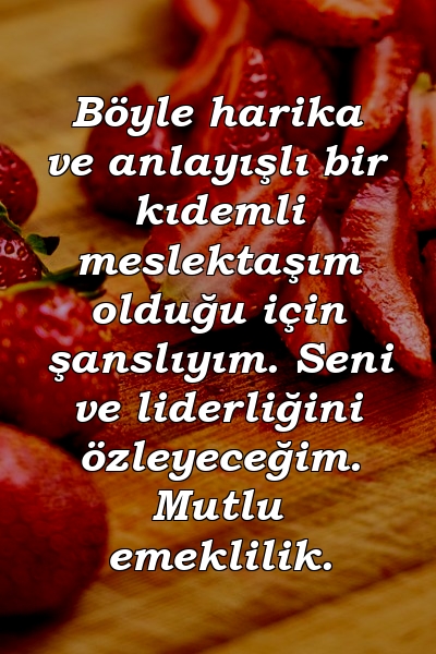 Böyle harika ve anlayışlı bir kıdemli meslektaşım olduğu için şanslıyım. Seni ve liderliğini özleyeceğim. Mutlu emeklilik.