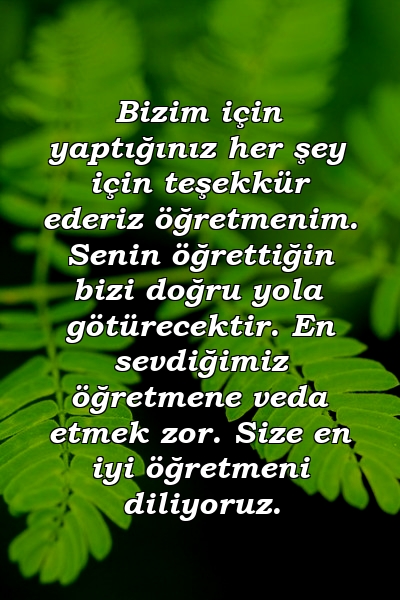 Bizim için yaptığınız her şey için teşekkür ederiz öğretmenim. Senin öğrettiğin bizi doğru yola götürecektir. En sevdiğimiz öğretmene veda etmek zor. Size en iyi öğretmeni diliyoruz.