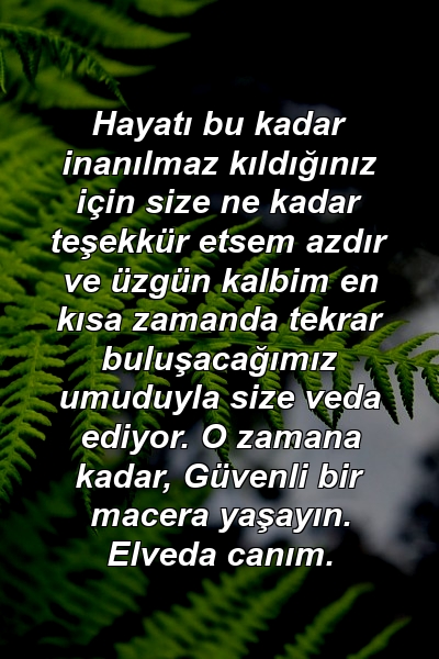 Hayatı bu kadar inanılmaz kıldığınız için size ne kadar teşekkür etsem azdır ve üzgün kalbim en kısa zamanda tekrar buluşacağımız umuduyla size veda ediyor. O zamana kadar, Güvenli bir macera yaşayın. Elveda canım.