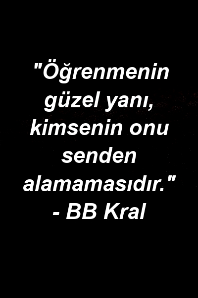 "Öğrenmenin güzel yanı, kimsenin onu senden alamamasıdır." - BB Kral