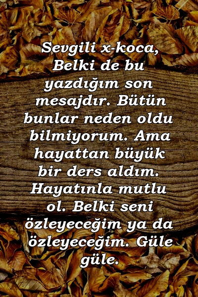 Sevgili x-koca, Belki de bu yazdığım son mesajdır. Bütün bunlar neden oldu bilmiyorum. Ama hayattan büyük bir ders aldım. Hayatınla mutlu ol. Belki seni özleyeceğim ya da özleyeceğim. Güle güle.