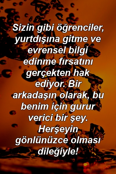 Sizin gibi öğrenciler, yurtdışına gitme ve evrensel bilgi edinme fırsatını gerçekten hak ediyor. Bir arkadaşın olarak, bu benim için gurur verici bir şey. Herşeyin gönlünüzce olması dileğiyle!