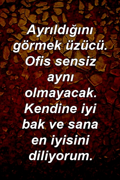 Ayrıldığını görmek üzücü. Ofis sensiz aynı olmayacak. Kendine iyi bak ve sana en iyisini diliyorum.