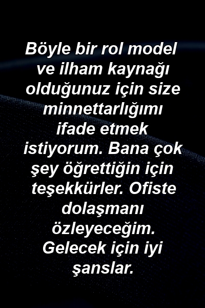 Böyle bir rol model ve ilham kaynağı olduğunuz için size minnettarlığımı ifade etmek istiyorum. Bana çok şey öğrettiğin için teşekkürler. Ofiste dolaşmanı özleyeceğim. Gelecek için iyi şanslar.