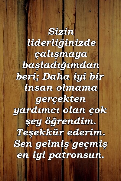 Sizin liderliğinizde çalışmaya başladığımdan beri; Daha iyi bir insan olmama gerçekten yardımcı olan çok şey öğrendim. Teşekkür ederim. Sen gelmiş geçmiş en iyi patronsun.