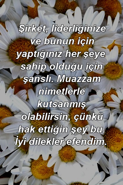 Şirket, liderliğinize ve bunun için yaptığınız her şeye sahip olduğu için şanslı. Muazzam nimetlerle kutsanmış olabilirsin, çünkü hak ettiğin şey bu. İyi dilekler efendim.