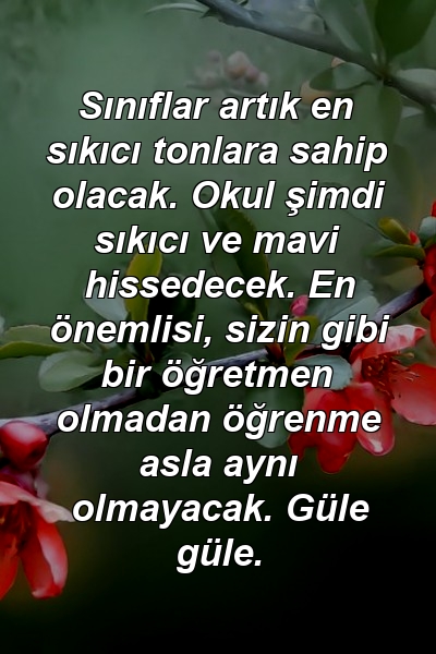 Sınıflar artık en sıkıcı tonlara sahip olacak. Okul şimdi sıkıcı ve mavi hissedecek. En önemlisi, sizin gibi bir öğretmen olmadan öğrenme asla aynı olmayacak. Güle güle.