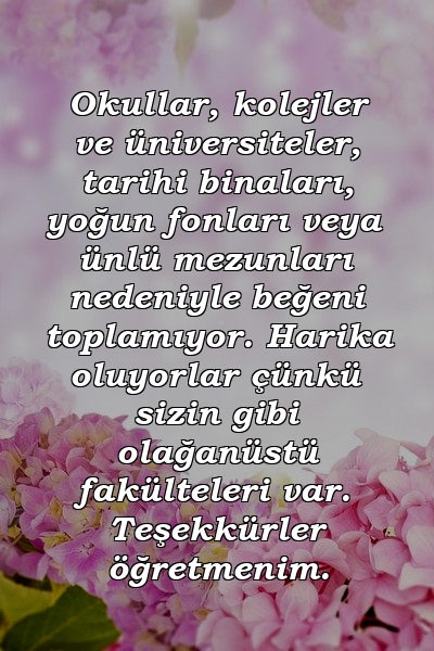 Okullar, kolejler ve üniversiteler, tarihi binaları, yoğun fonları veya ünlü mezunları nedeniyle beğeni toplamıyor. Harika oluyorlar çünkü sizin gibi olağanüstü fakülteleri var. Teşekkürler öğretmenim.