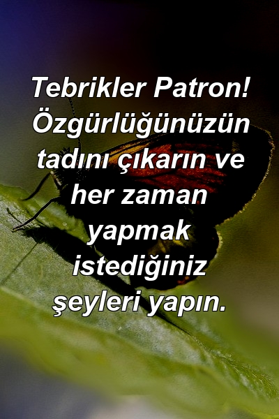 Tebrikler Patron! Özgürlüğünüzün tadını çıkarın ve her zaman yapmak istediğiniz şeyleri yapın.