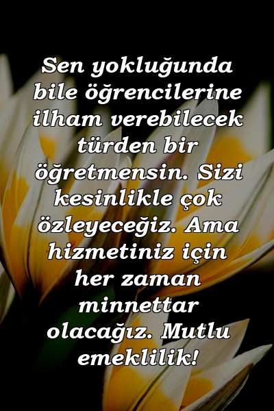 Sen yokluğunda bile öğrencilerine ilham verebilecek türden bir öğretmensin. Sizi kesinlikle çok özleyeceğiz. Ama hizmetiniz için her zaman minnettar olacağız. Mutlu emeklilik!