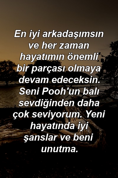 En iyi arkadaşımsın ve her zaman hayatımın önemli bir parçası olmaya devam edeceksin. Seni Pooh