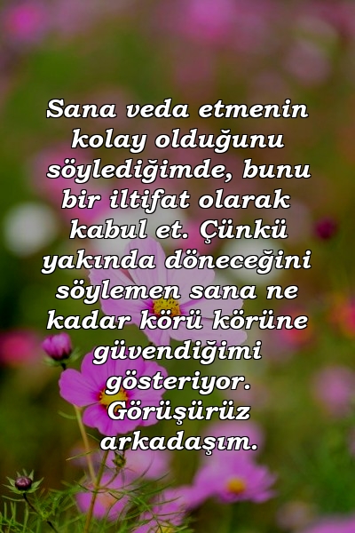 Sana veda etmenin kolay olduğunu söylediğimde, bunu bir iltifat olarak kabul et. Çünkü yakında döneceğini söylemen sana ne kadar körü körüne güvendiğimi gösteriyor. Görüşürüz arkadaşım.